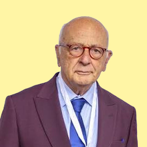 girolamo imbruglia girolamo imbruglia professore di storia all'orientale di napoli